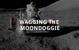 Wagging the Moondoggie
