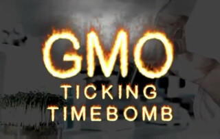GMO Ticking Time Bomb
